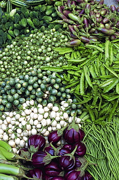 Close-up of vegetables of the aubergine family for sale in Thailand, Southeast Asia, Asia