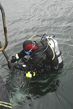 Cold ware Scuba Diver climbing up ladder,Scapa Flow, Orkney islands, Scotland, UK, North Sea