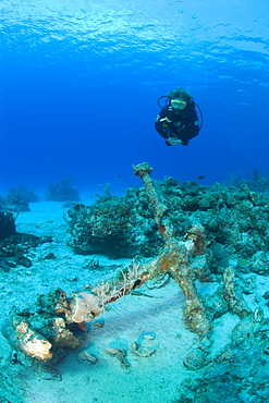 Diver over unidentified ship's anchor, Maria La Gorda, Cuba, Caribbean