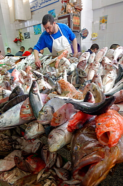 Fishmonger displaying freshly caught fish in Tangier fish market, Tangier, Morocco, North Africa, Africa