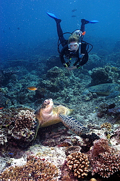 Diver with Turtle.  Malaysia   (RR)