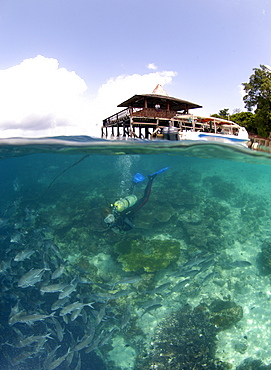 Reef/jetty over/underwater .  Malaysia   (RR)