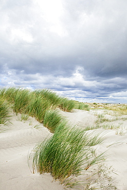 Sand dunes and dramatic sky, Schiermonnikoog, West Frisian Islands, Friesland, The Netherlands (Holland), Europe