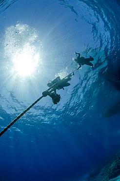 Two scuba divers descending down a line, part silhouette, low angle view, Ras Mohammed National Park, Red Sea, Egypt, North Africa, Africa 