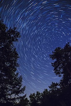 Star Trail with burning vapour from a perseid meteor, Netherlands, Europe 