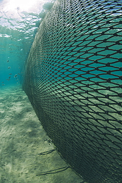 Shark net set in shallow water, Naama Bay, Ras Mohammed National Park, Sharm El Sheikh, Red Sea, Egypt, North Africa, Africa