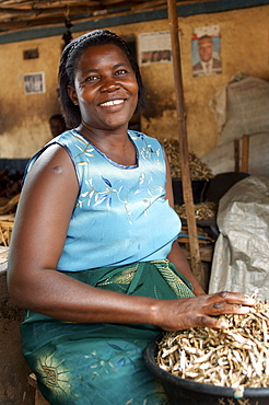 As part of the Ugandan staple diet, dried 'sardine' like fish are commonplace in the food markets.  Gulu Town, Northwest Uganda. Gulu Town, Uganda, East Africa