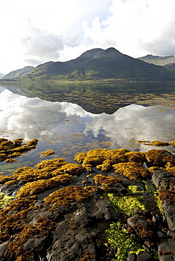 Landscape on the Isle of Mull, Inner Hebrides, Scotland, United Kingdom, Europe