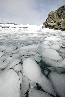 A view of an ice-choked bay on Petermann Island near Lemaire Channel, Antarctica.