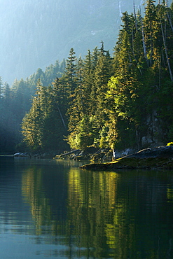 View of the shoreline in sunlight at Takatz Bay on Baranof Island, Southeast Alaska, USA. Pacific Ocean.