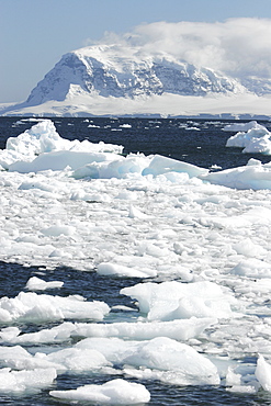 Mist covers the glacierand icebergs and bergy bits lill the bay in Neumayer Channel, Antarctica.