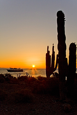 Sunrise from Isla San Esteban in the midriff region of the Gulf of California (Sea of Cortez), Baja California Norte, Mexico.    (rr)