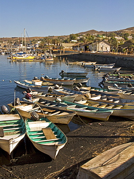 Mexican fishing boats called pangas in the port town of Santa Rosalia, Baja California Sur, on the Baja Peninsula, Mexico.