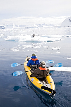 National Geographic photographer Joel Sartore and his wife Kathy kayaking with a leopard seal near Danco Island, Antarctica