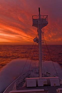 The Lindblad Expedition ship National Geographic Endeavour on approach at sunset to the Falkland Islands, South Atlantic Ocean