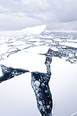 The Lindblad Expeditions ship National Geographic Explorer pushes through ice in Crystal Sound, south of the Antarctic Circle