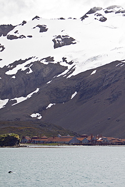 Views of Stromness Whaling Station, South Georgia Island in the Southern Ocean, Antarctica