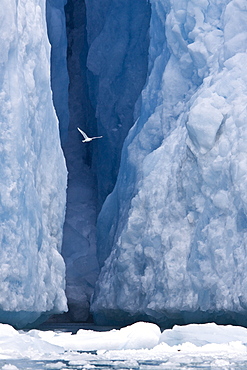 Views of the Monaco Glacier on the northern side of Spitsbergen in the Svalbard Archipelago, Norway.