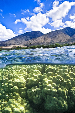 Half undewater and half above water view of Olowalu Reef on the west side of the island of Maui, Hawaii, USA. 