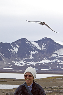 Adult arctic tern (Sterna paradisaea) defending a nest site from encroaching human on Spitsbergen Island in the Svalbard Archipelago, Norway