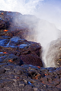 Blow hole spouting on Espanola Island Archipeligo, Ecuador. Pacific Ocean.