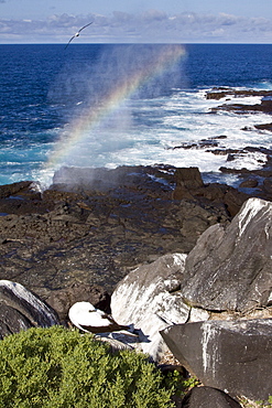 Fun and interesting scenery in the Galapagos Island Archipeligo, Ecuador. Pacific Ocean.