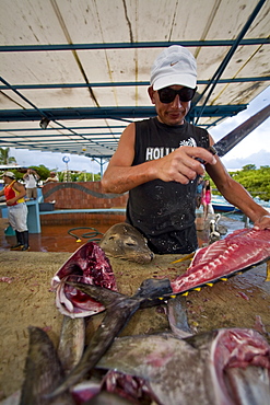 Scenes from around the small town of Puerto Ayora on Santa Cruz Island, Galapagos, Ecuador. Pacific Ocean. No model or property releases are available for this image.