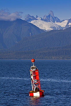 Northern (Steller) sea lion (Eumetopias jubatus) on navigational buoy just outside Petersburg in Southeastern Alaska, USA