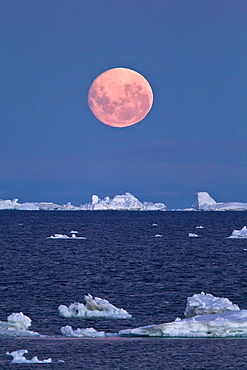 Full moon (plus 1 day) rising over icebergs in the Weddell Sea, Antarctica. MORE INFO This moonrise occurred on January 1, 2010, the night after the blue moon full of December 31, 2009.