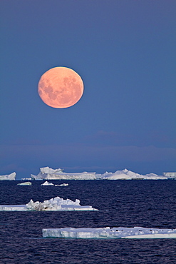 Full moon (plus 1 day) rising over icebergs in the Weddell Sea, Antarctica. MORE INFO This moonrise occurred on January 1, 2010, the night after the blue moon full of December 31, 2009.