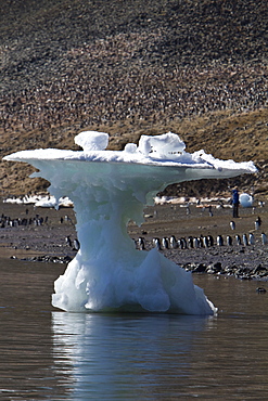 Iceberg detail in and around the Antarctic Peninsula during the summer months, Southern Ocean