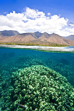 Half undewater and half above water view of Olowalu Reef on the west side of the island of Maui, Hawaii, USA. 