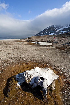 A view of the abandoned bowhead whaling station with bones strewn about in Hornsund (Horn Sound) on the southwestern side of Spitsbergen Island in the Svalbard Archipelago, Barents Sea, Norway.