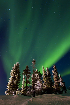 Aurora Borealis (Northern (Polar) Lights) over the boreal forest outside Yellowknife, Northwest Territories, Canada