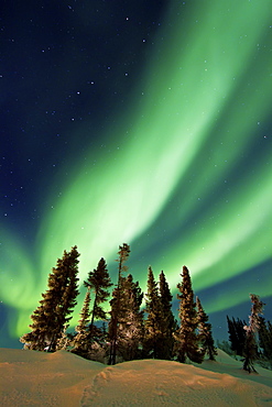 Aurora Borealis (Northern (Polar) Lights) over the boreal forest outside Yellowknife, Northwest Territories, Canada