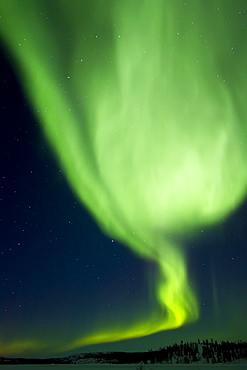 Aurora Borealis (Northern (Polar) Lights) over the boreal forest outside Yellowknife, Northwest Territories, Canada