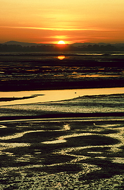 sunset on mudflats, montrose basin, angus, scotland