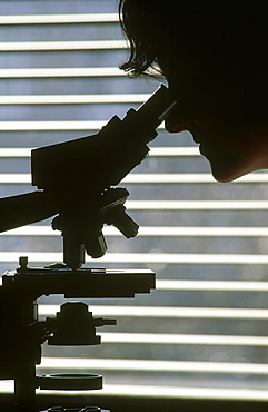 science: soil scientist examining structure.  dundee, scotl and