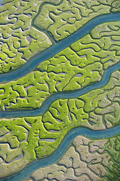 Aerial view of saltmarsh at low tide near Cadiz, Spain