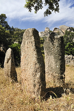 Rinaju Alignment of neolithic menhirs erected around 6500 years ago at Cauria, Corsica, France, Europe