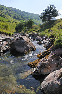 Rio Aragon Subordan in the upper Hecho valley in summer, Huesca, Aragon, Spain, Europe