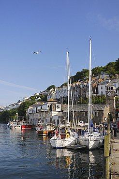 Sailing yachts moored in Looe harbour, Cornwall, England, United Kingdom, Europe