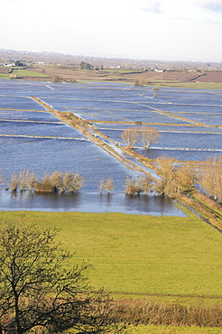 Overview of extensively flooded pastureland and farm track on West Sedgemoor, Somerset Levels, after weeks of heavy rain, Somerset, England, United Kingdom, Europe